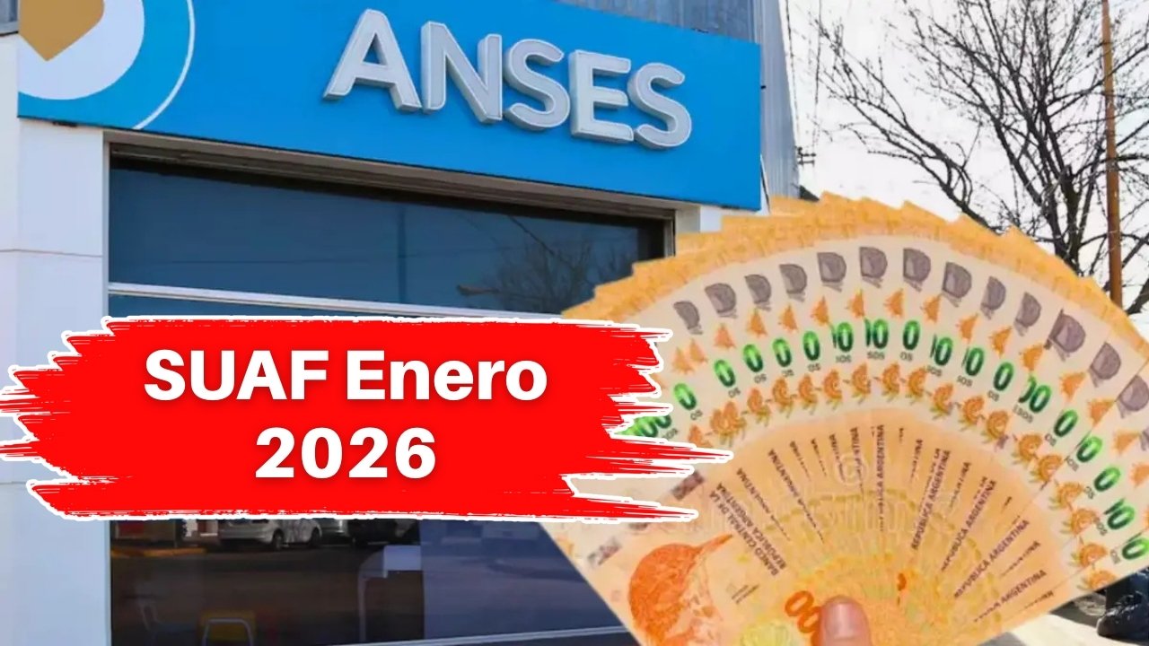 SUAF Enero 2026: Cambios en los Montos por Hijo y los Requisitos de Ingreso